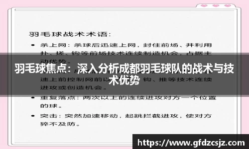 羽毛球焦点：深入分析成都羽毛球队的战术与技术优势