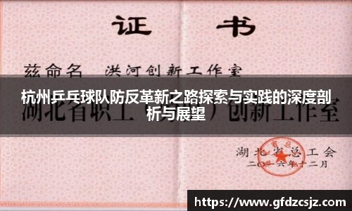 杭州乒乓球队防反革新之路探索与实践的深度剖析与展望